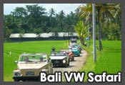 Bali Purnama Adventure - Bali VW Safari